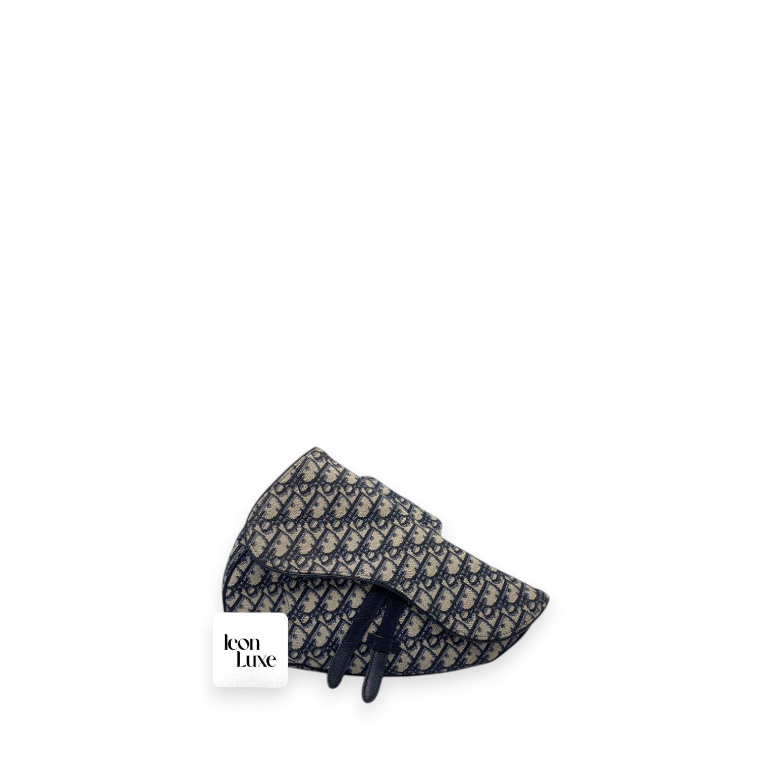 Dior Saddle Mens