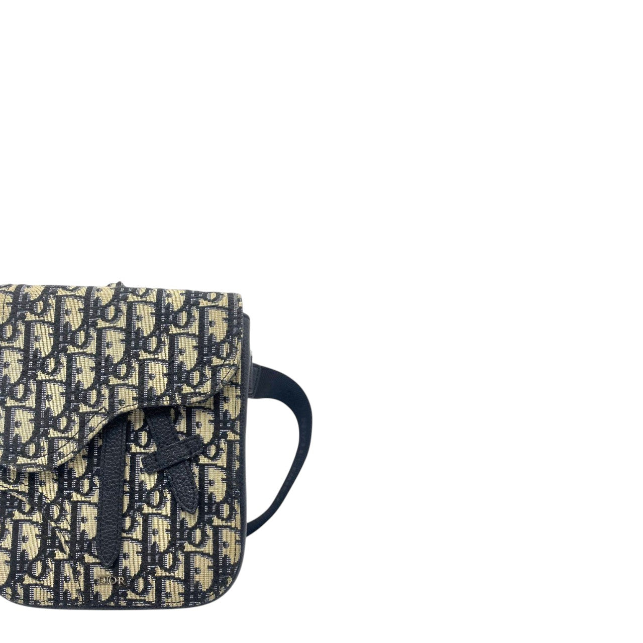 Dior Saddle Messenger (15cm)