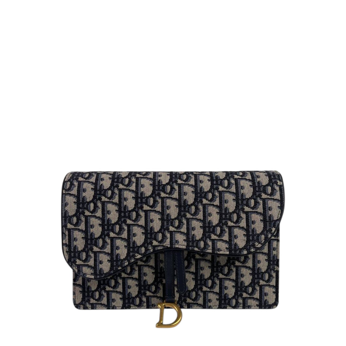 Dior Saddle WOC