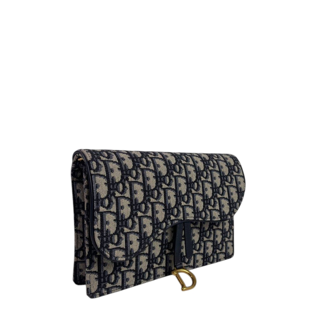 Dior Saddle WOC