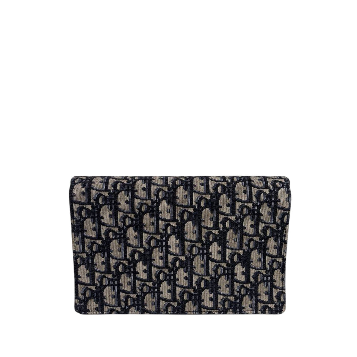Dior Saddle WOC