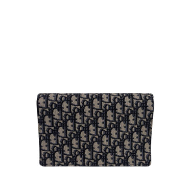Dior Saddle WOC