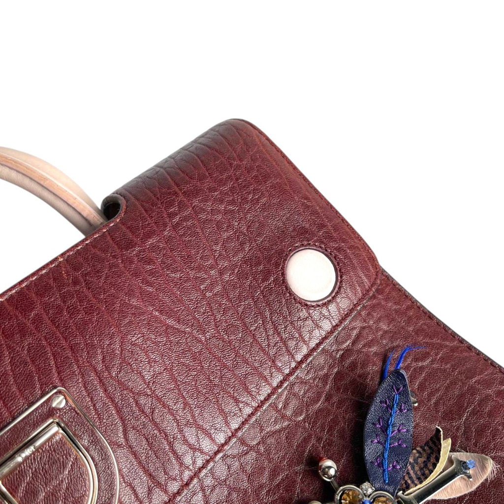Christian Dior Dragonfly Appliqué Grained Buffalo Diorever