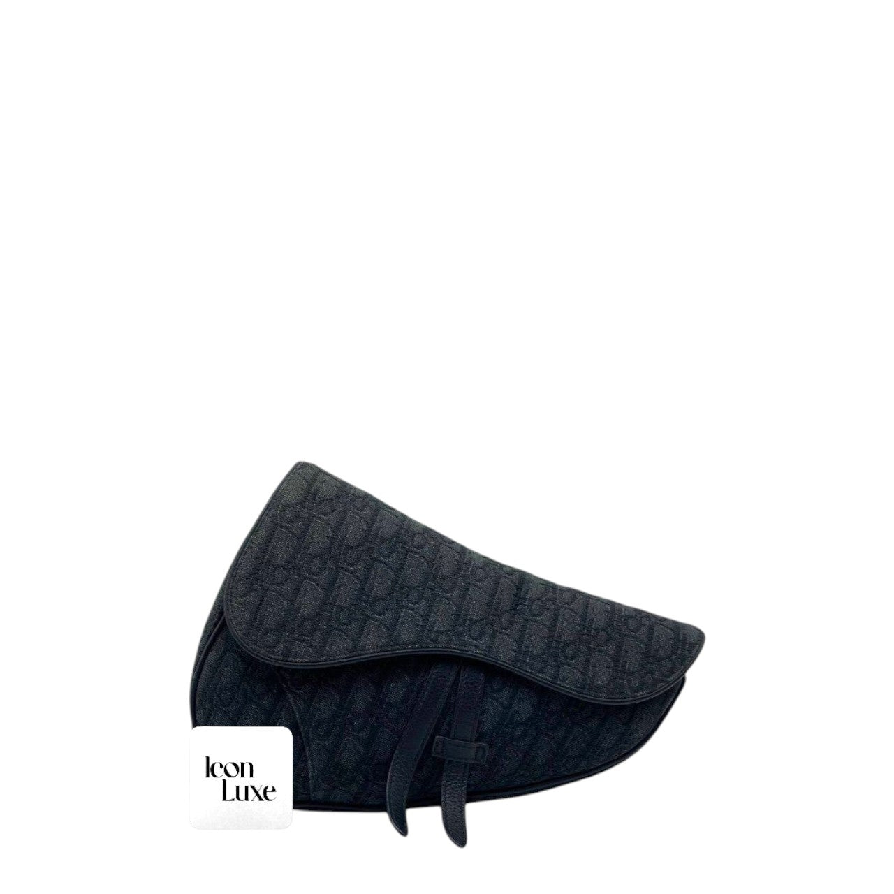 Dior Saddle Mens (28cm)