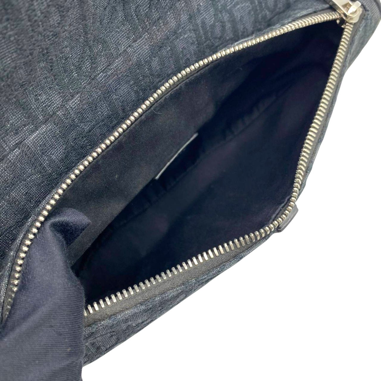 Dior Saddle Mens (28cm)