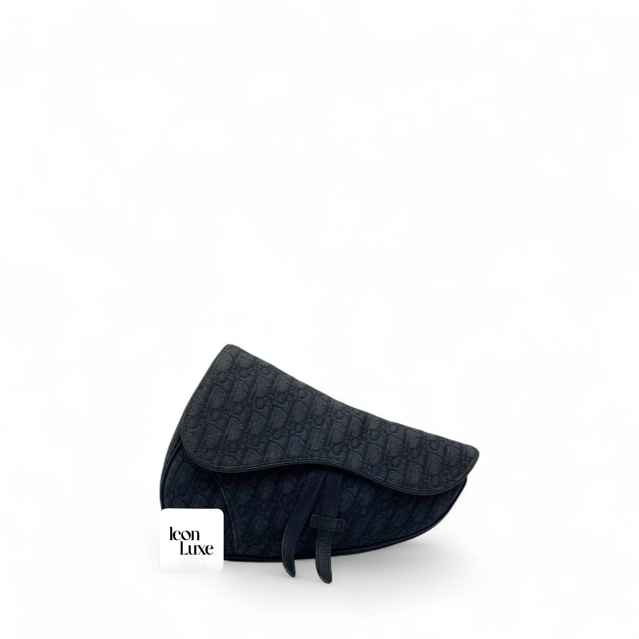 Dior Saddle Mens