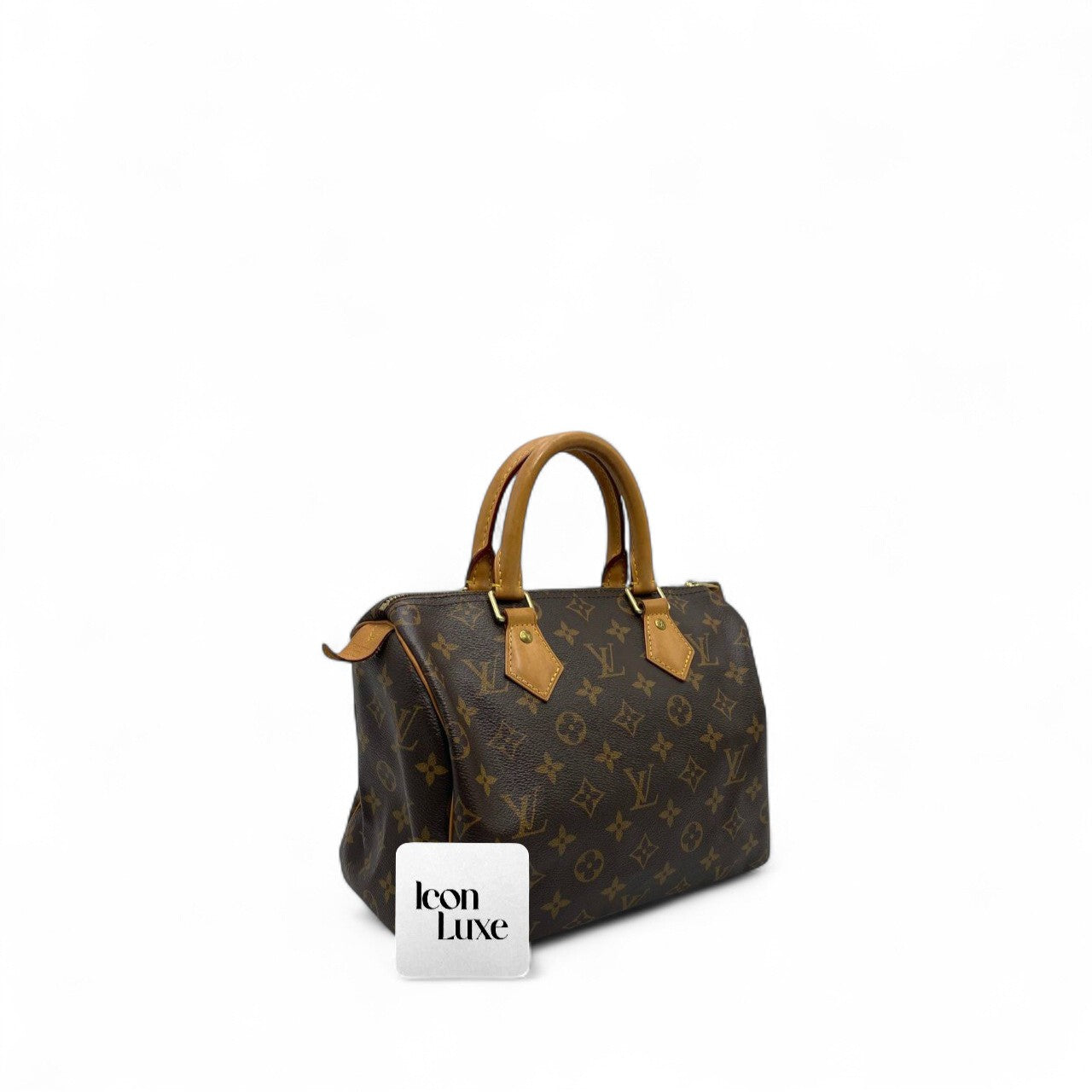 LV Speedy 25 Monogram (25cm)