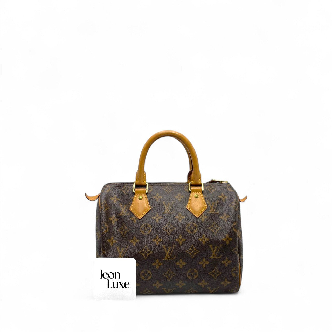 LV Speedy 25 Monogram (25cm)