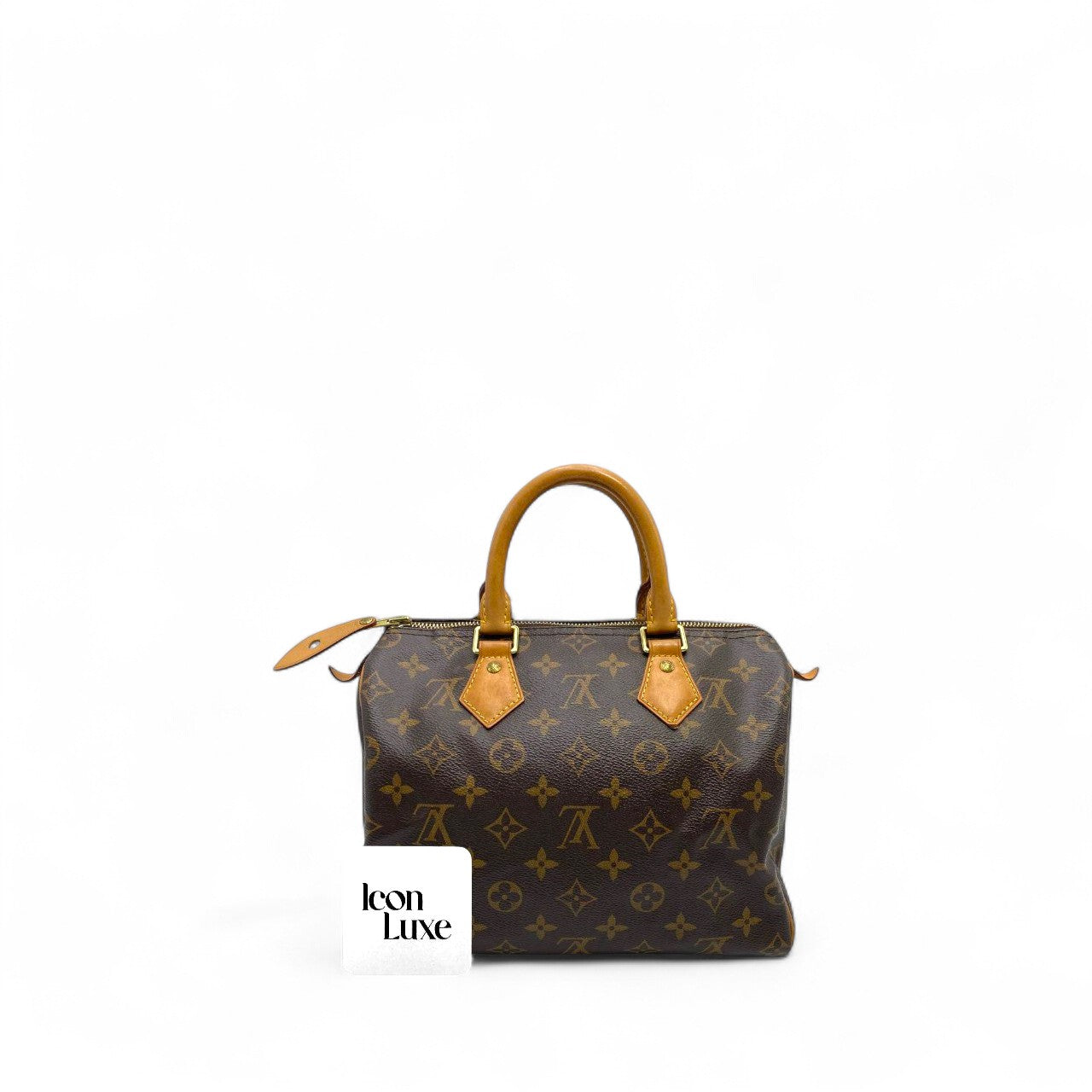 LV Speedy 25 Monogram (25cm)