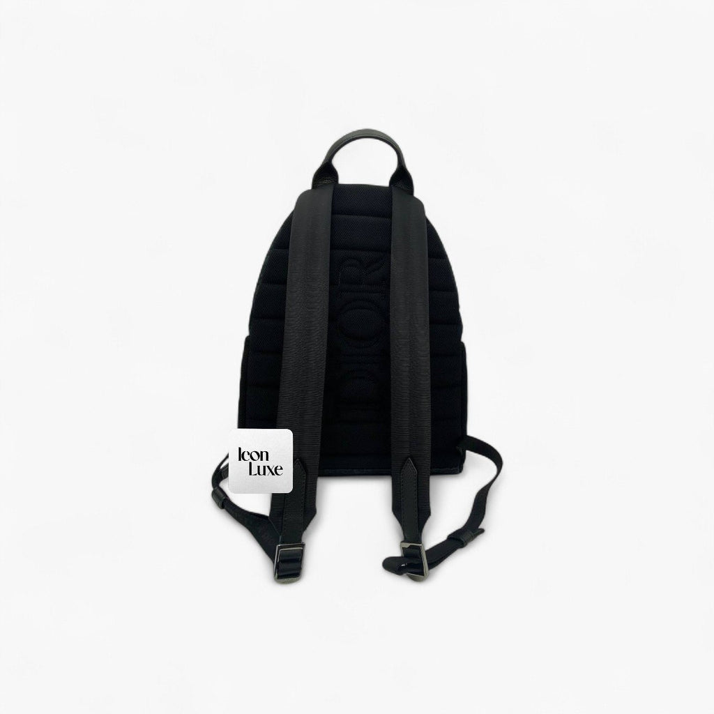 Dior Backpack Oblique