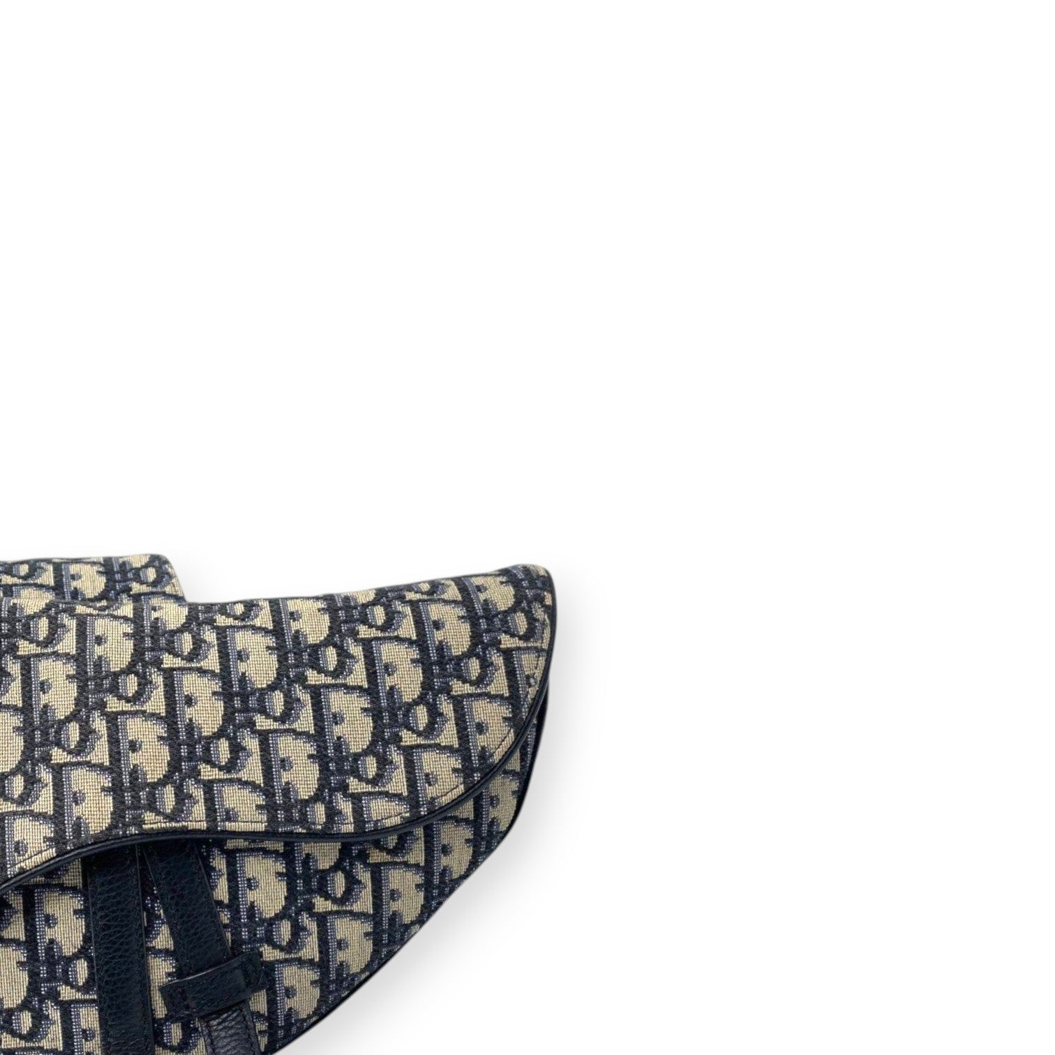 Dior Saddle Mens