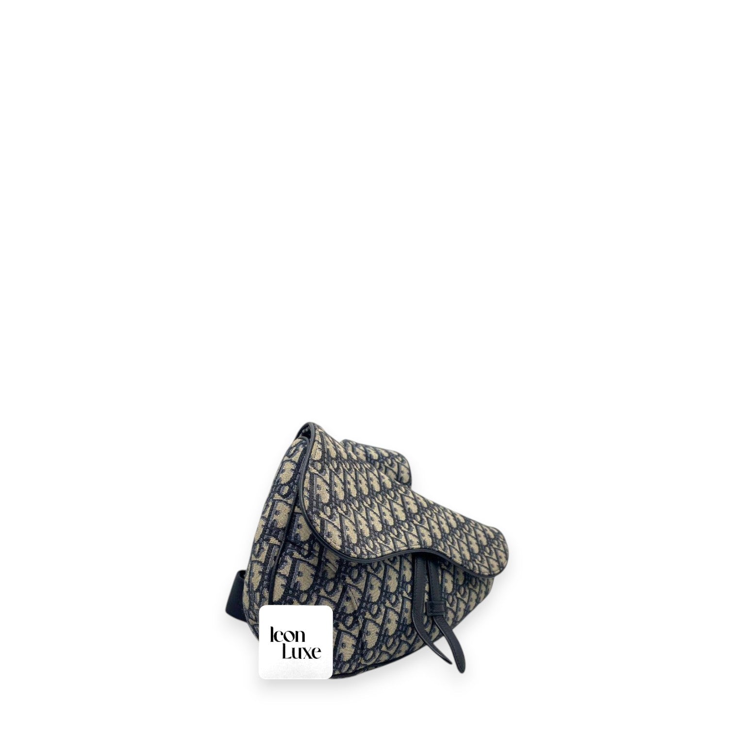 Dior Saddle Mens