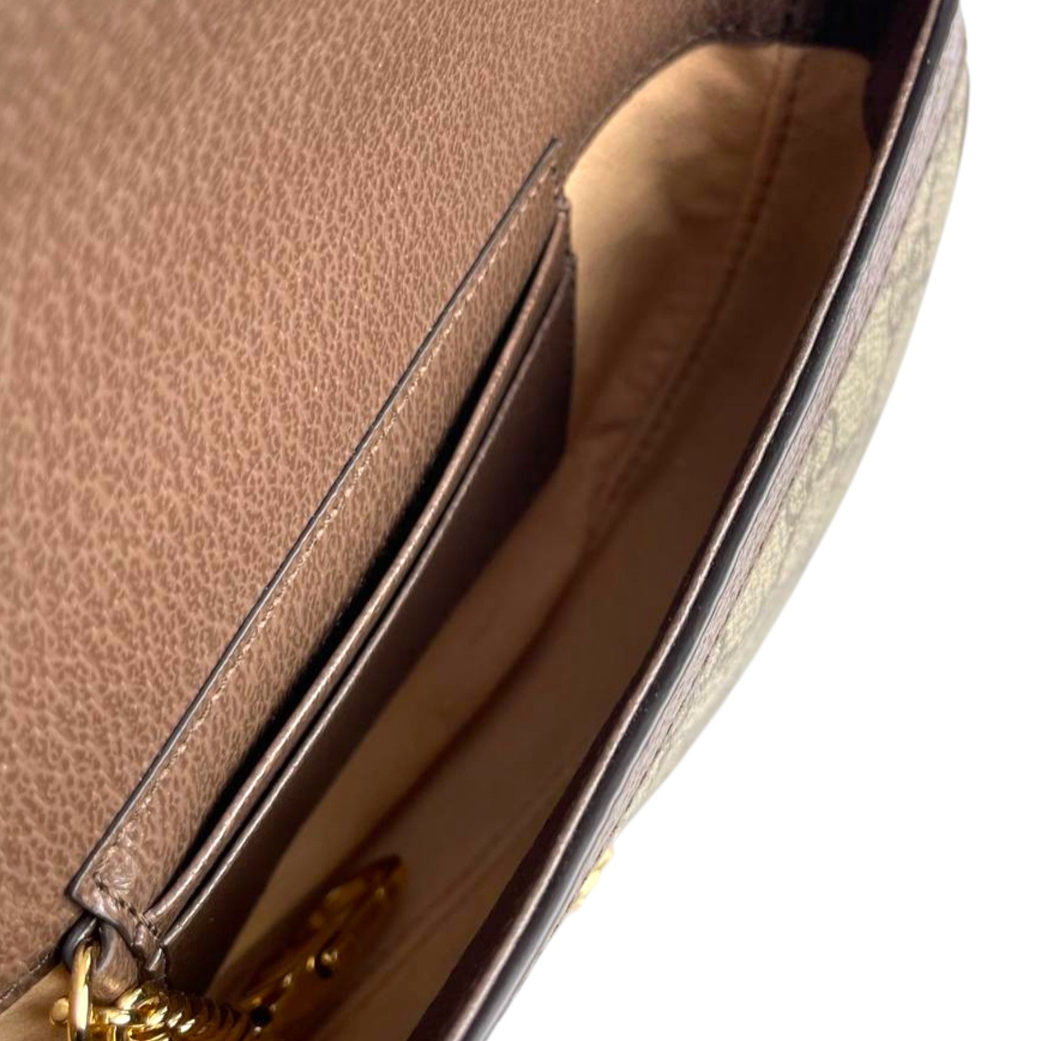 Gucci Halfmoon Ophidia
