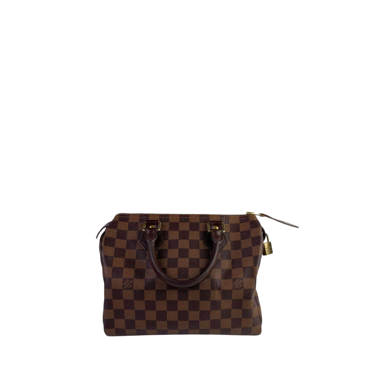 Louis Vuitton Damier Speedy