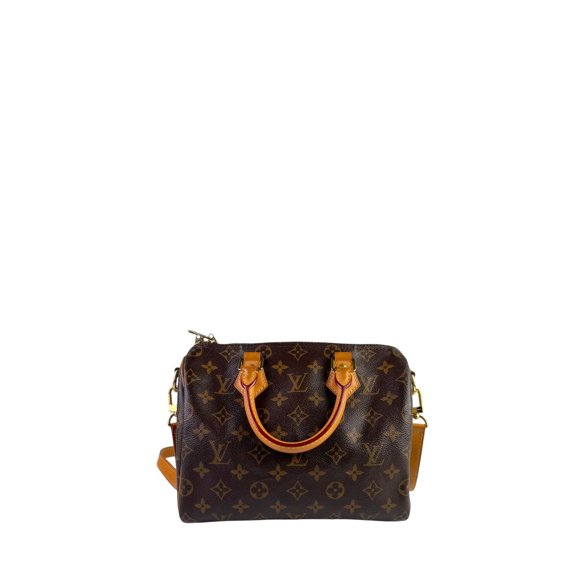 Louis Vuitton Damier Speedy 25
