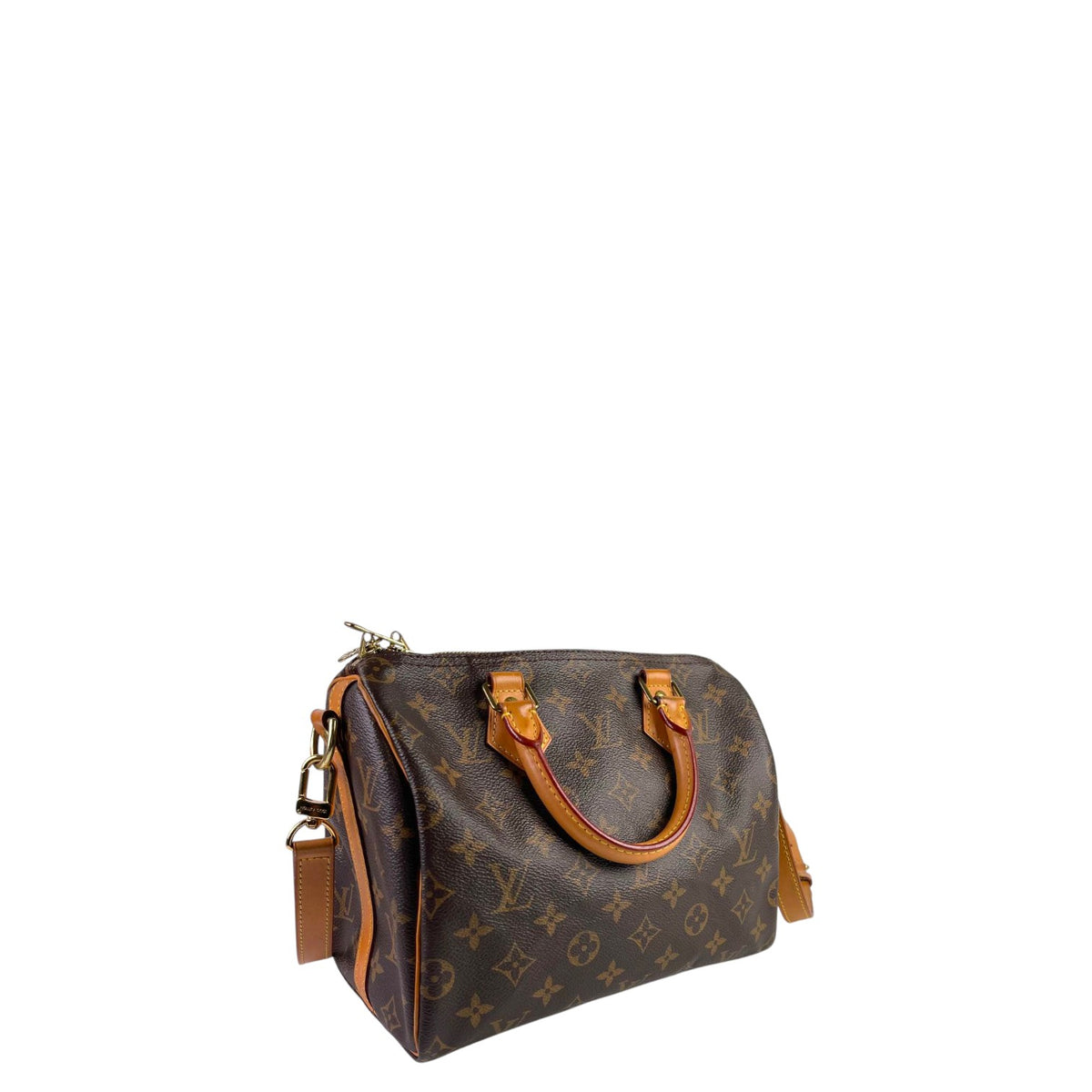 Louis Vuitton Damier Speedy 25