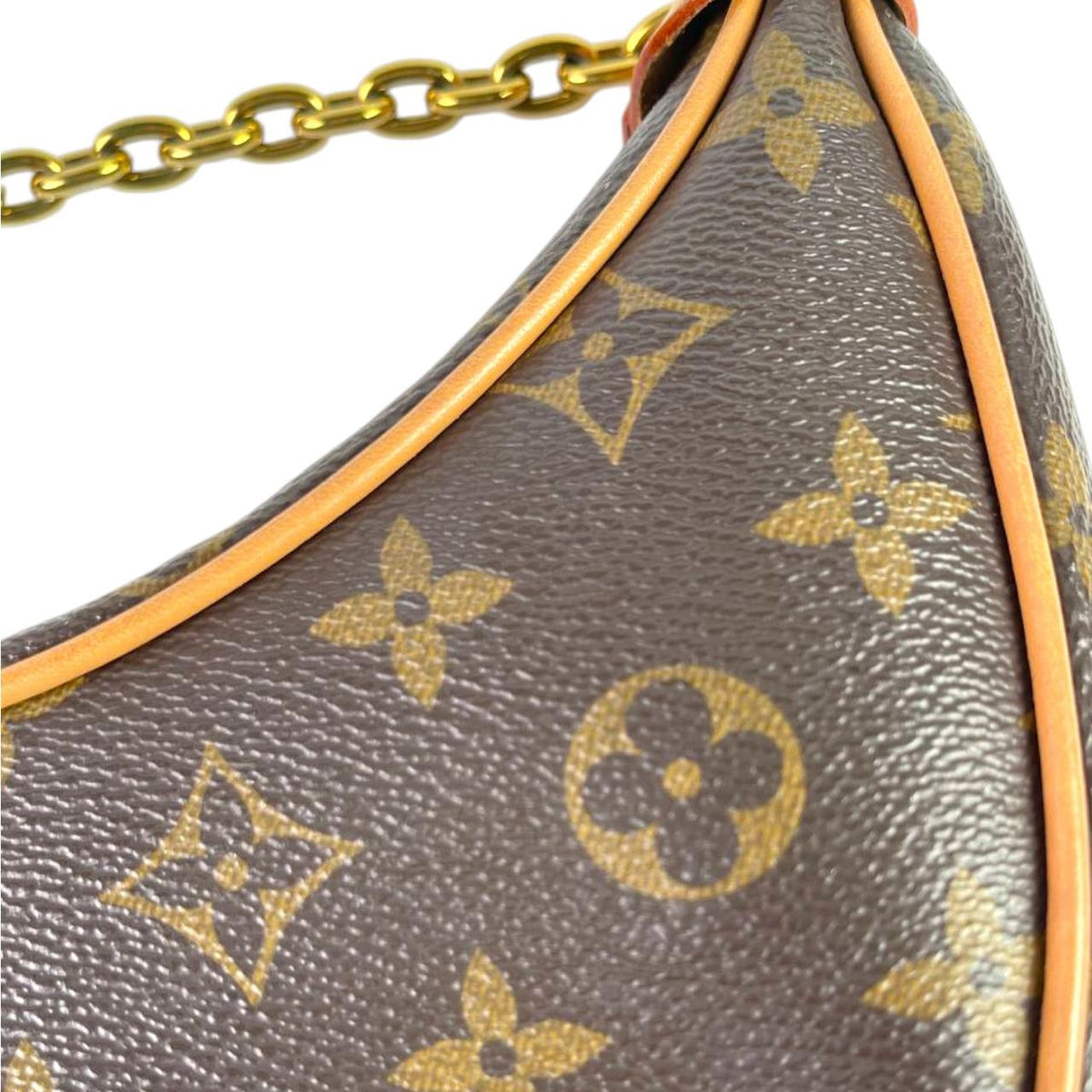 Louis Vuitton Loop Bag