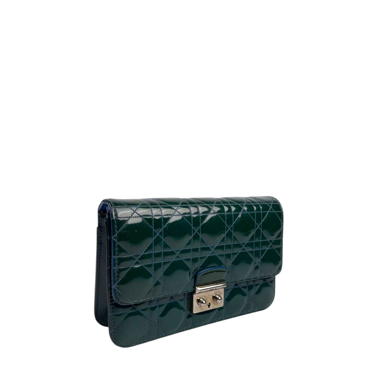 Dior Promenade Pouch
