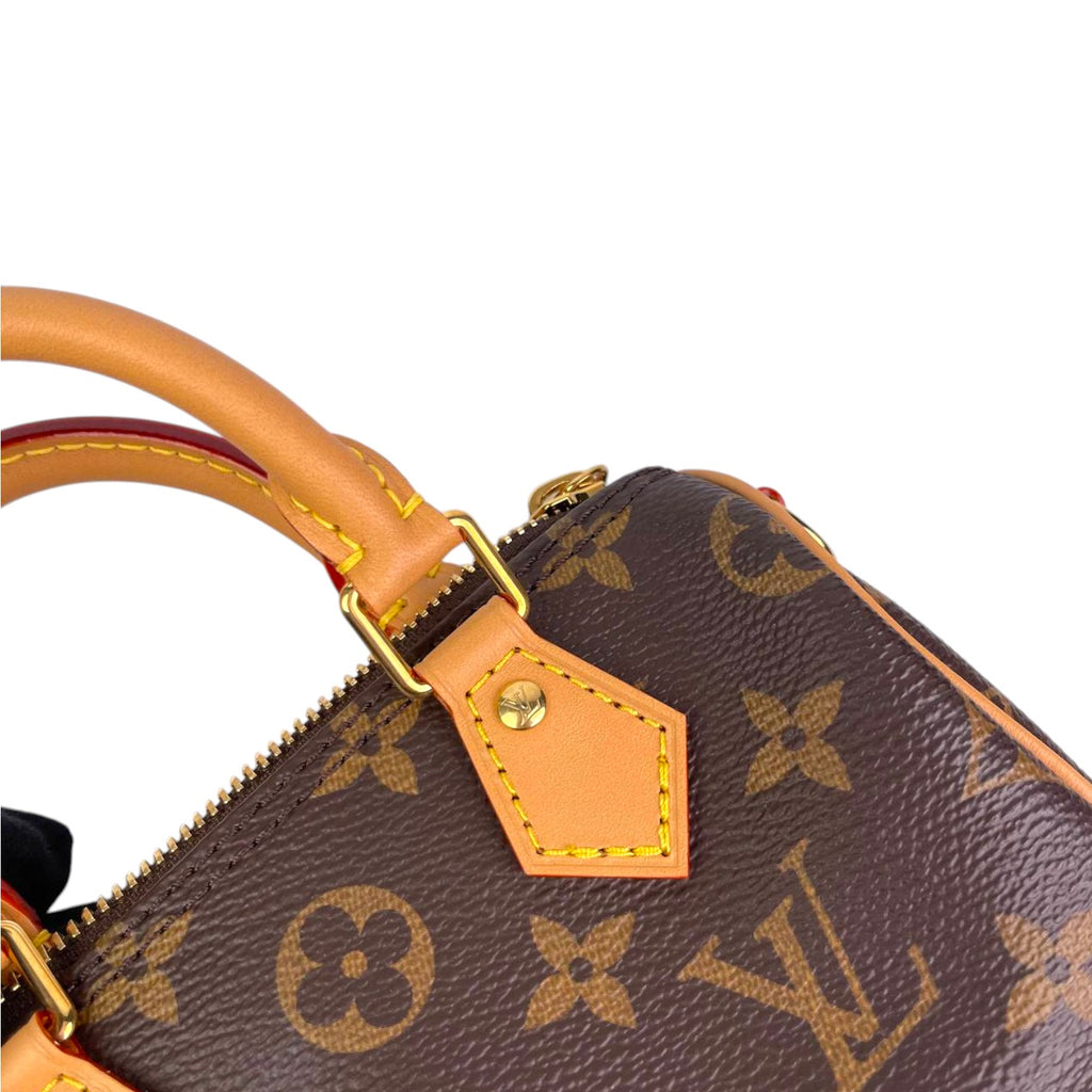 LV Nano Speedy Monogram