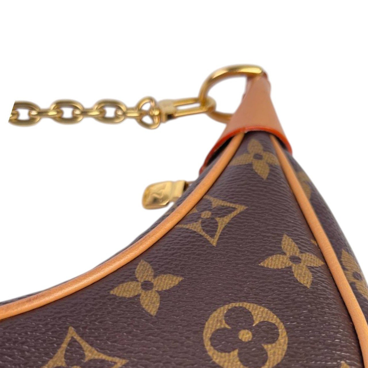 LV Loop Handbag