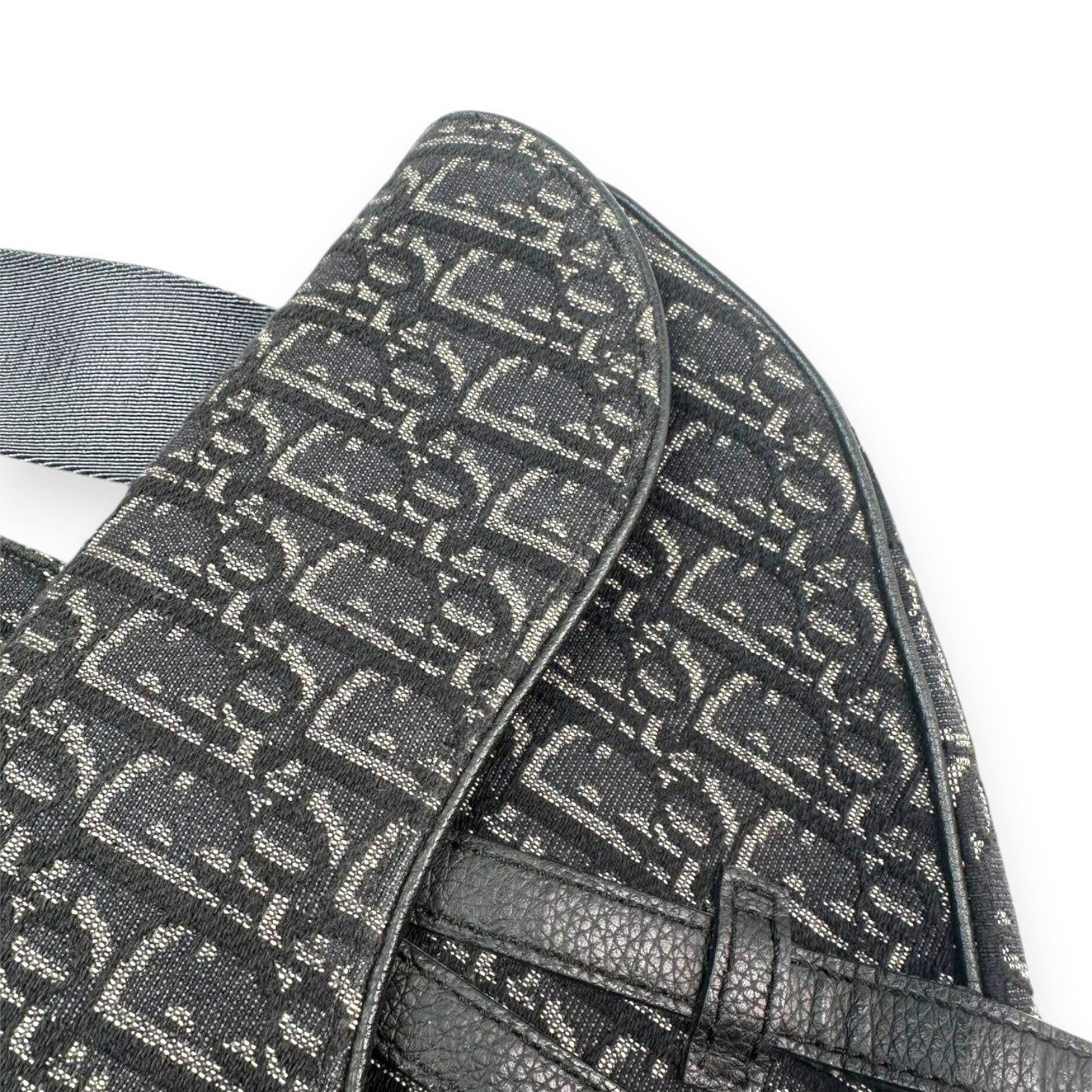 Dior Saddle Men