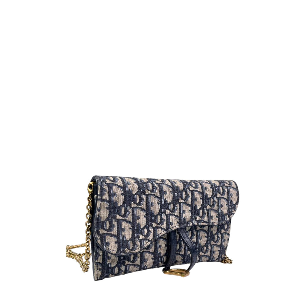 Dior Saddle WOC