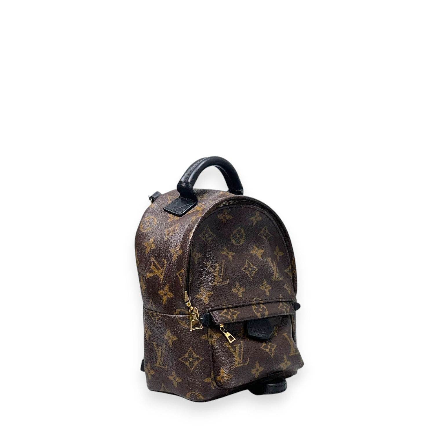 LV Palm Springs Mini