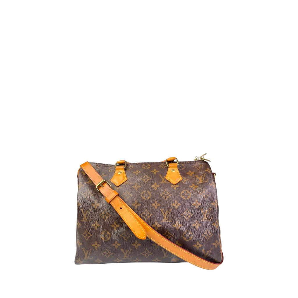 LV Speedy 30 Monogram