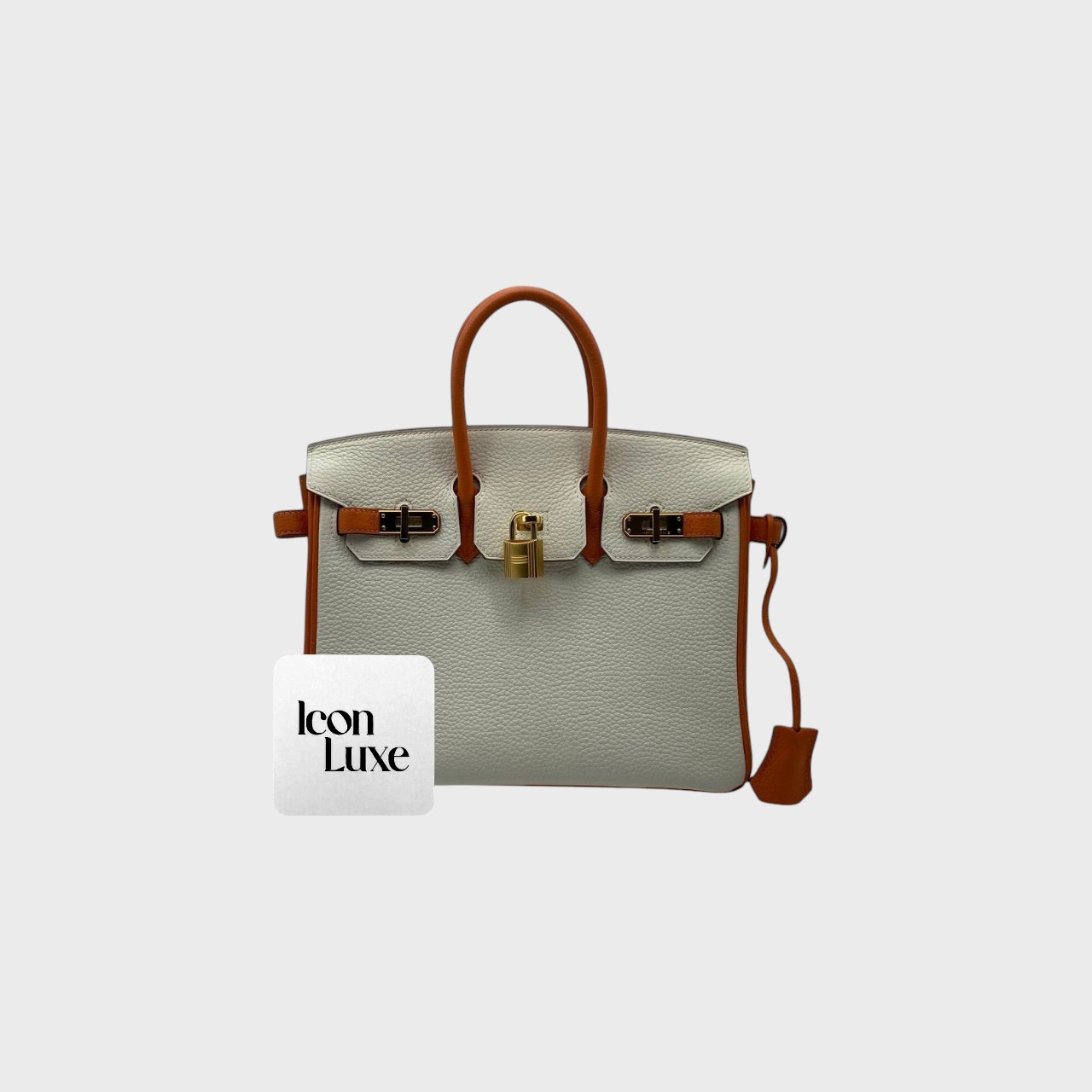 Hermes Birkin 25 Veau Togo