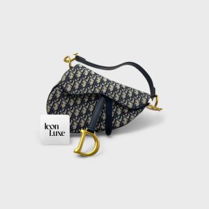 Dior Mini Saddle Mens (24cm)