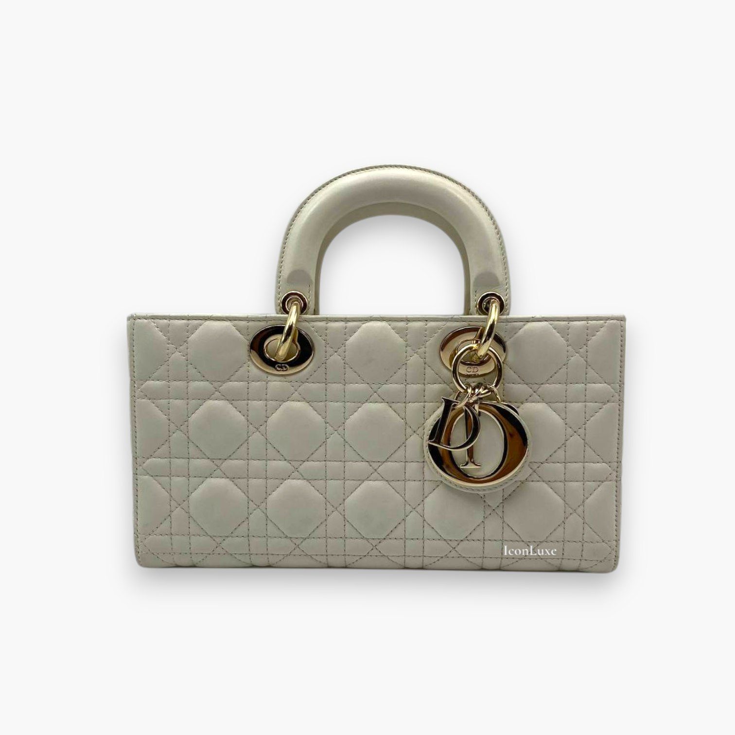 Dior Lady Djoy Medium